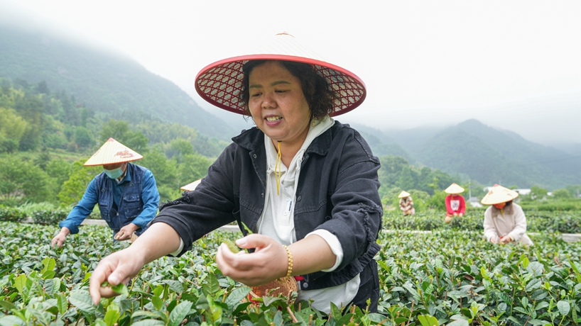 守“綠”換“金”！大別山區(qū)“兩山”實(shí)踐創(chuàng)新基地觀察