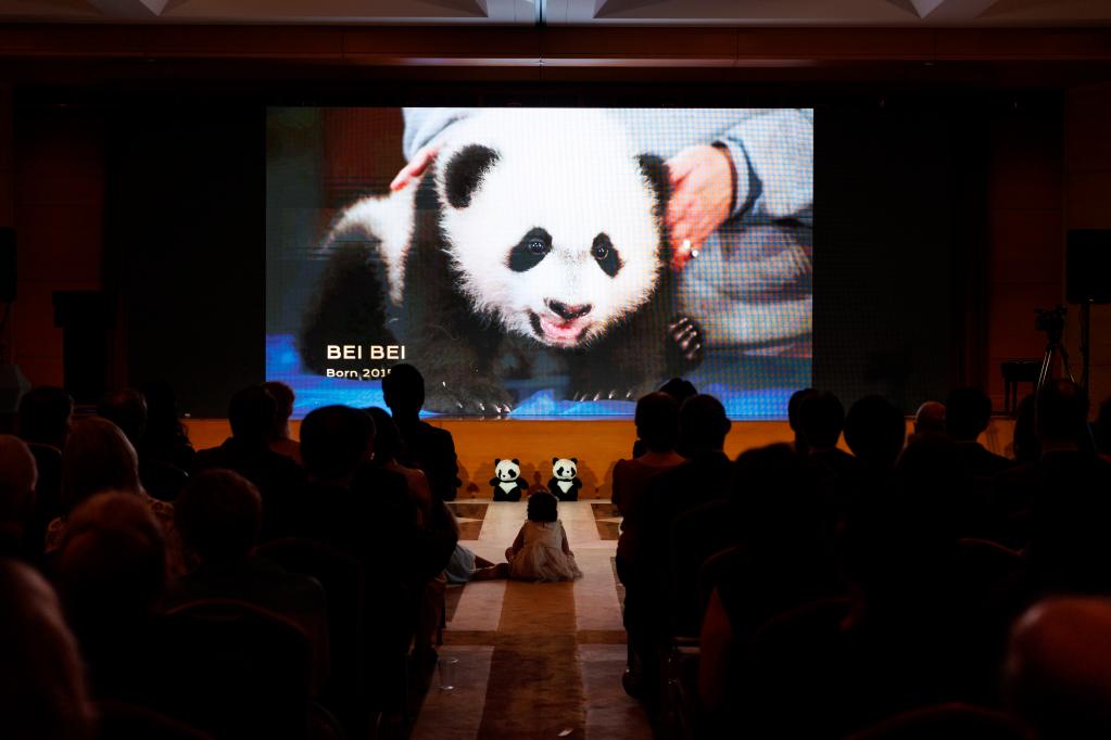 中國駐美使館同美國史密森學(xué)會國家動物園聯(lián)合舉辦“大熊貓之夜”招待會