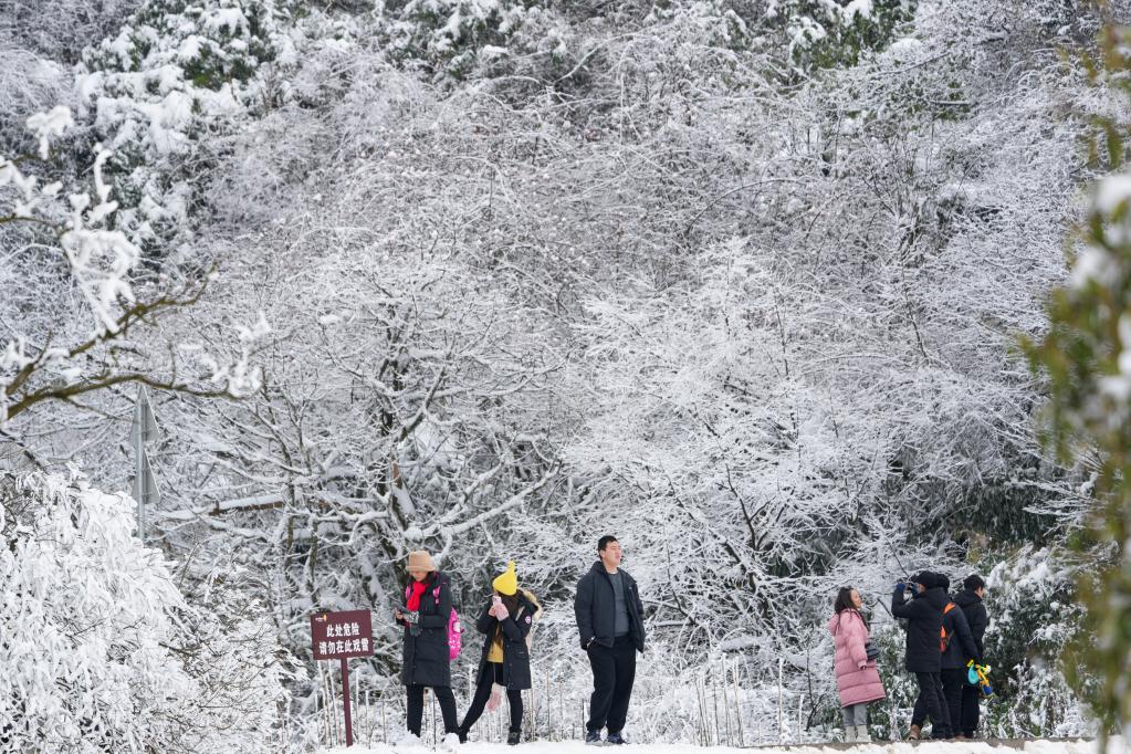 重慶：冰雪經濟催動金佛山冬季旅游實現(xiàn)“開門紅”