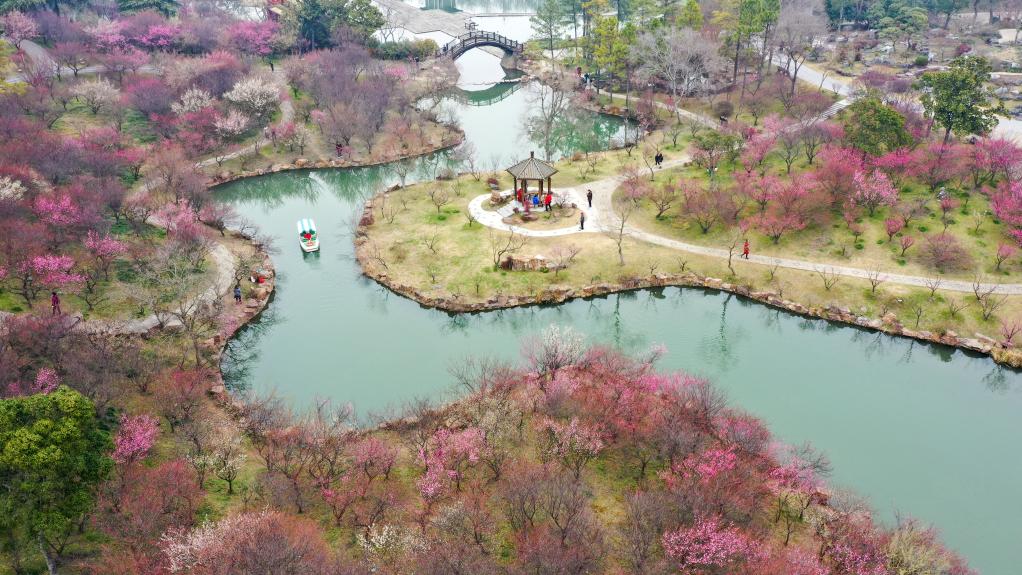 踏青賞花 樂(lè)享春光