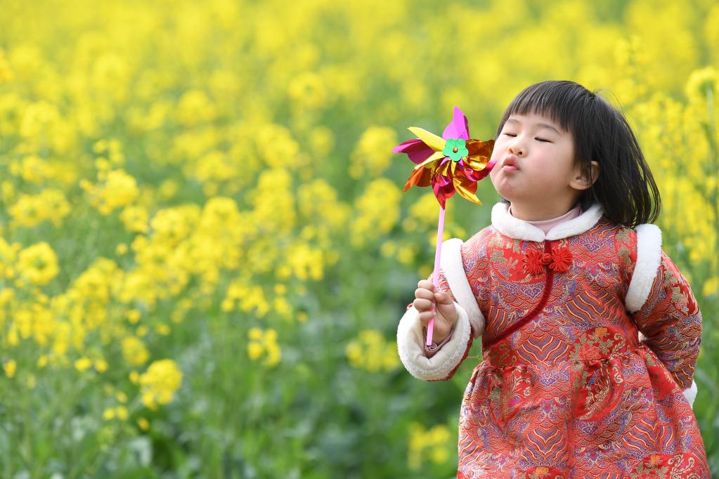 踏青賞花 樂(lè)享春光