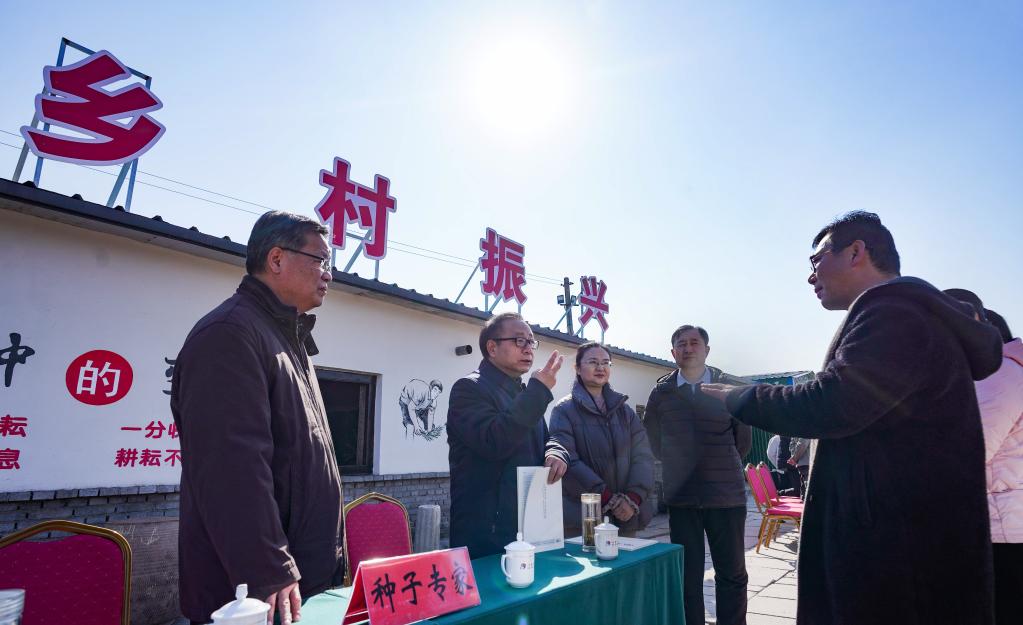 山東啟動“穩(wěn)糧保供”農(nóng)技服務行動