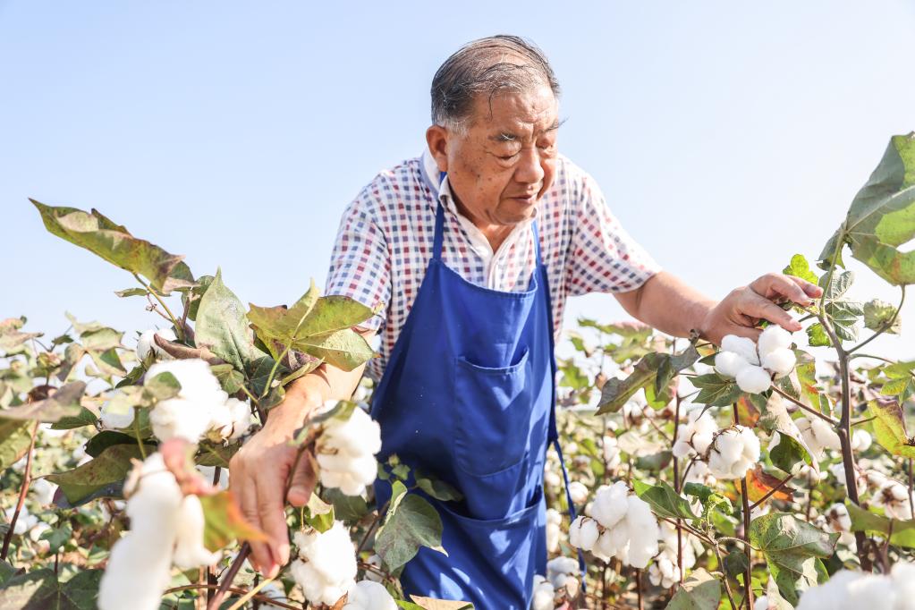 新華全媒+丨育種人的薪火相傳