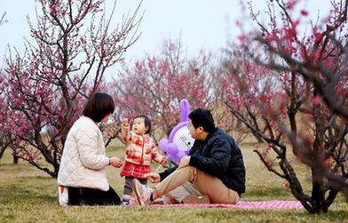 西安：梅花照眼早春時