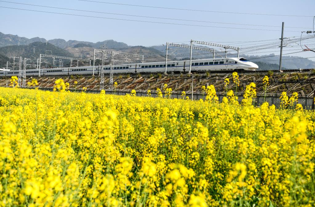 開(kāi)往春天的列車