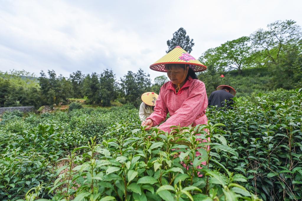 鄉(xiāng)村共富工坊助力百姓就業(yè)增收