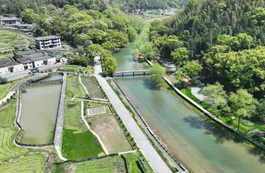 四季中國丨港背村的“新田園夢(mèng)”