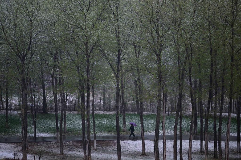 青海西寧迎來(lái)降雪天氣