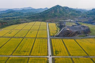 浙江德清：綠水青山涵養(yǎng)生態(tài)經(jīng)濟(jì)