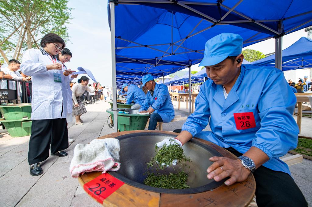 浙江金華：茶葉加工技能比高低