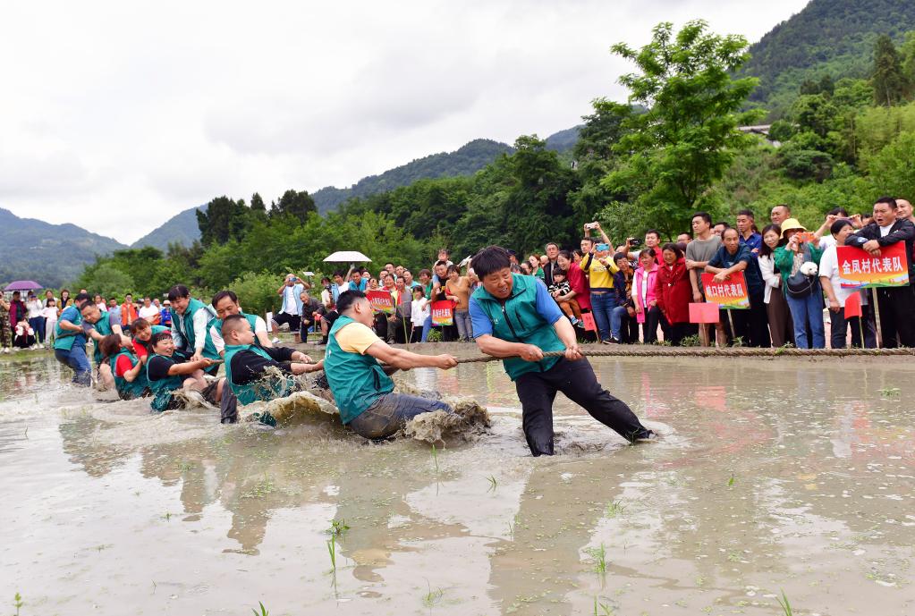 湖北秭歸：農活競技歡樂多