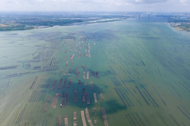 新華全媒+丨天空之眼瞰湛江：向海而興 向海圖強(qiáng) 向海“湛”放