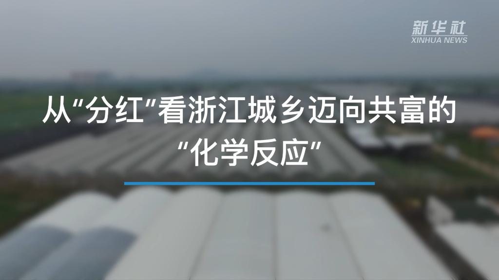 奮進新征程 建功新時代｜從“分紅”看浙江城鄉(xiāng)邁向共富的“化學反應”