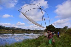 捕魚(yú)慶豐收