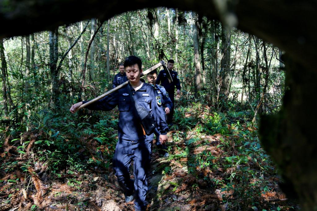 福建武夷山：國家公園守護(hù)人